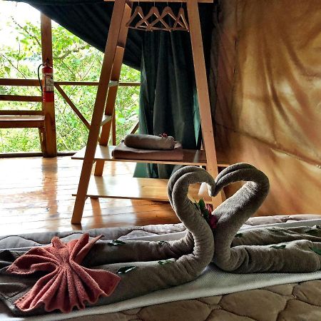 Tami Lodge Providencia Экстерьер фото